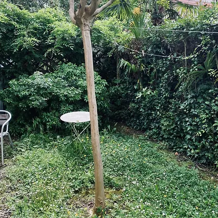 Cosy Avec Jardin * Pau