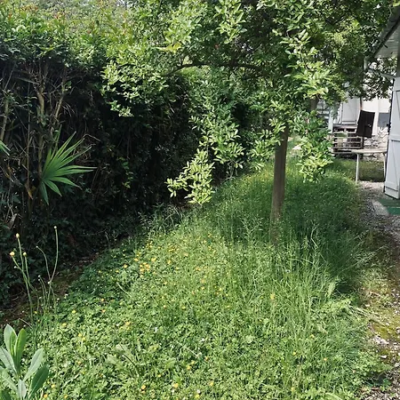Cosy Avec Jardin Appartement Pau